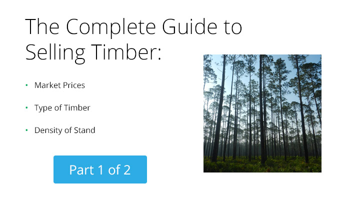 complete-guide-to-selling-timber-1-of-2