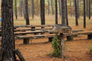 timber management classroom