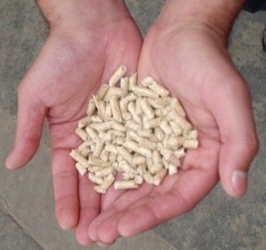 "Pellets hand" by Tom Bruton